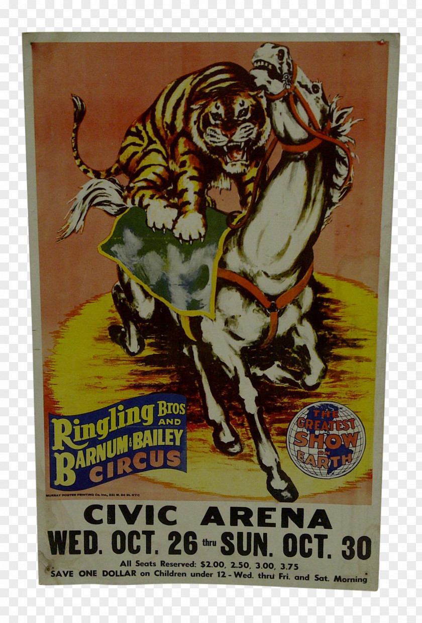 Circus Poster Text Plakat Naukowy Clown PNG