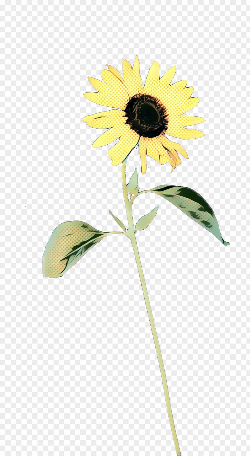 Common Sunflower Cut Flowers Plant Stem Seed Petal PNG