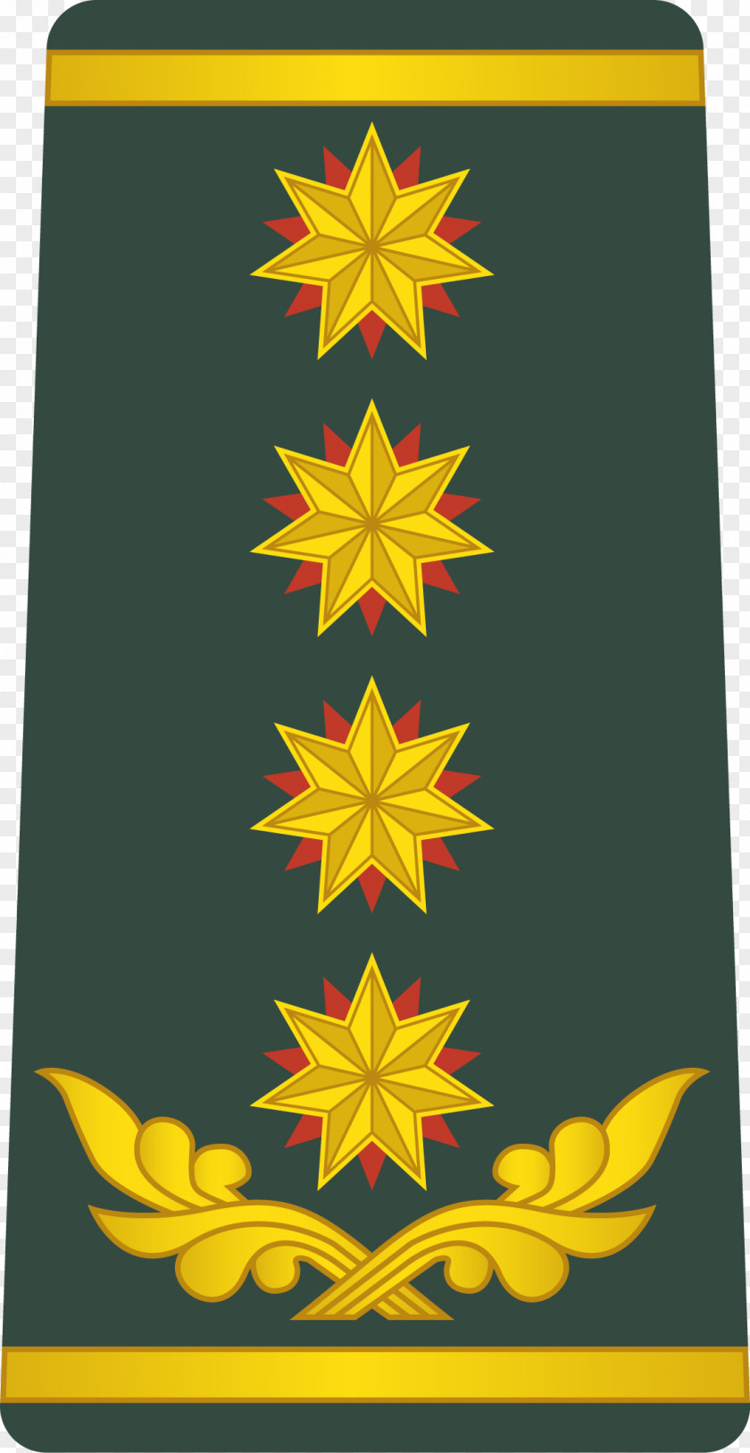 General Georgian Armed Forces Military Rank PNG