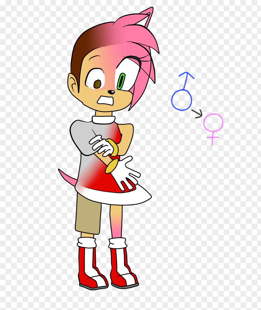 Lg Amy Rose Sonic Heroes Universe DeviantArt PNG