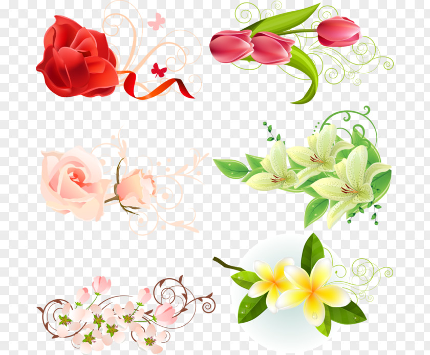 Plant Flowers And Floral Material Celebration Flower Download Clip Art PNG