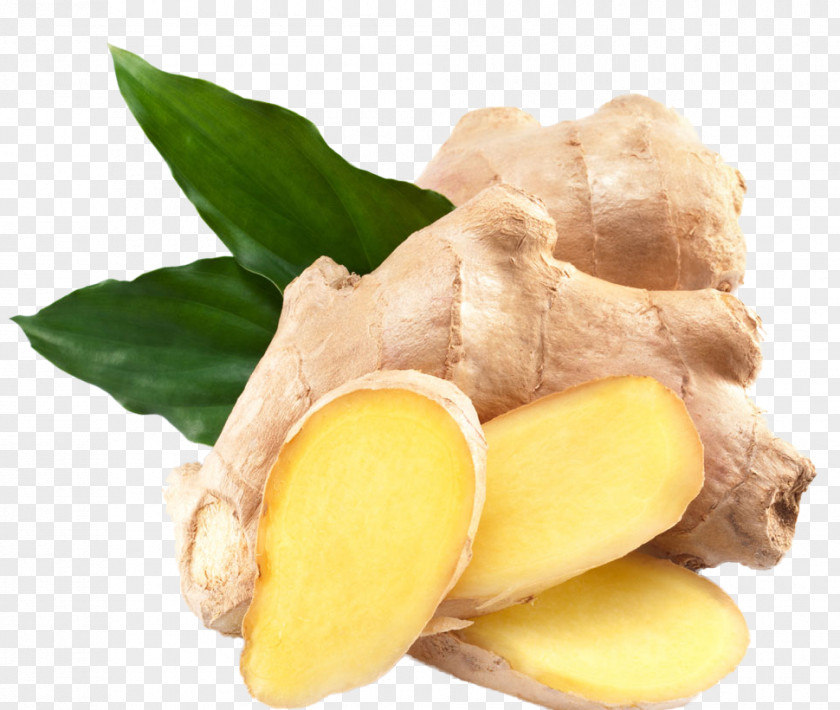 Ginger,Ginger Leaves,plant,Seasoning Ginger Seed Vegetable Plant Bonsai PNG