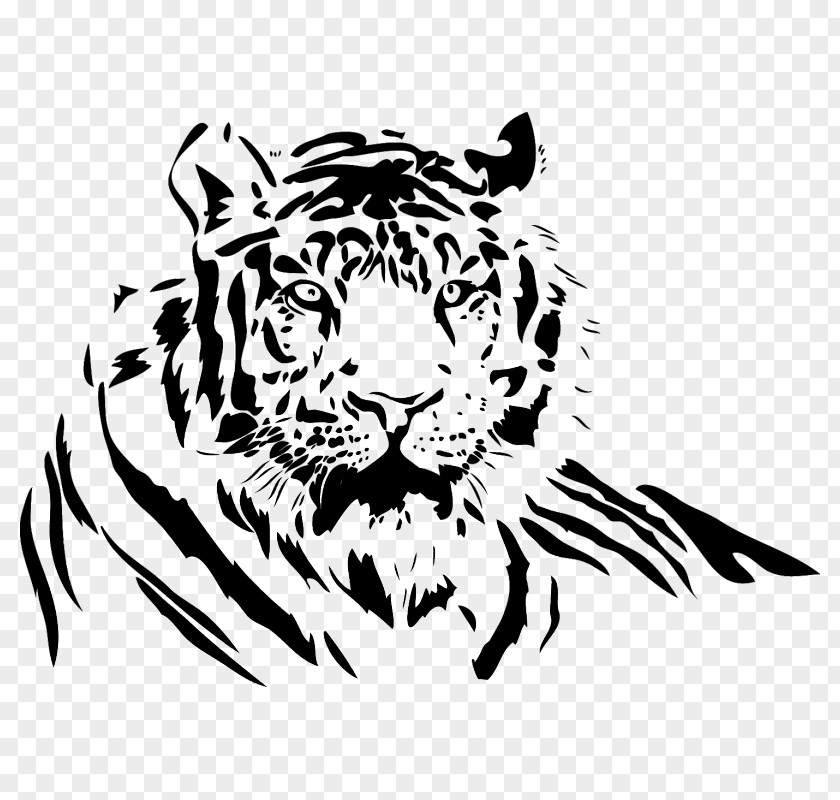 Glamor Vector White Tiger Drawing Lion Clip Art PNG