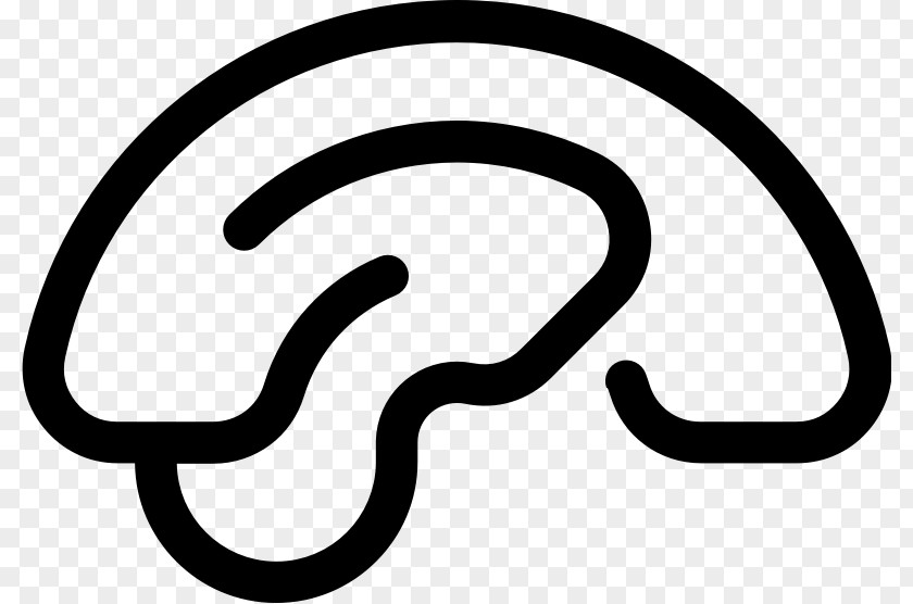 Thicken Human Brain Clip Art PNG