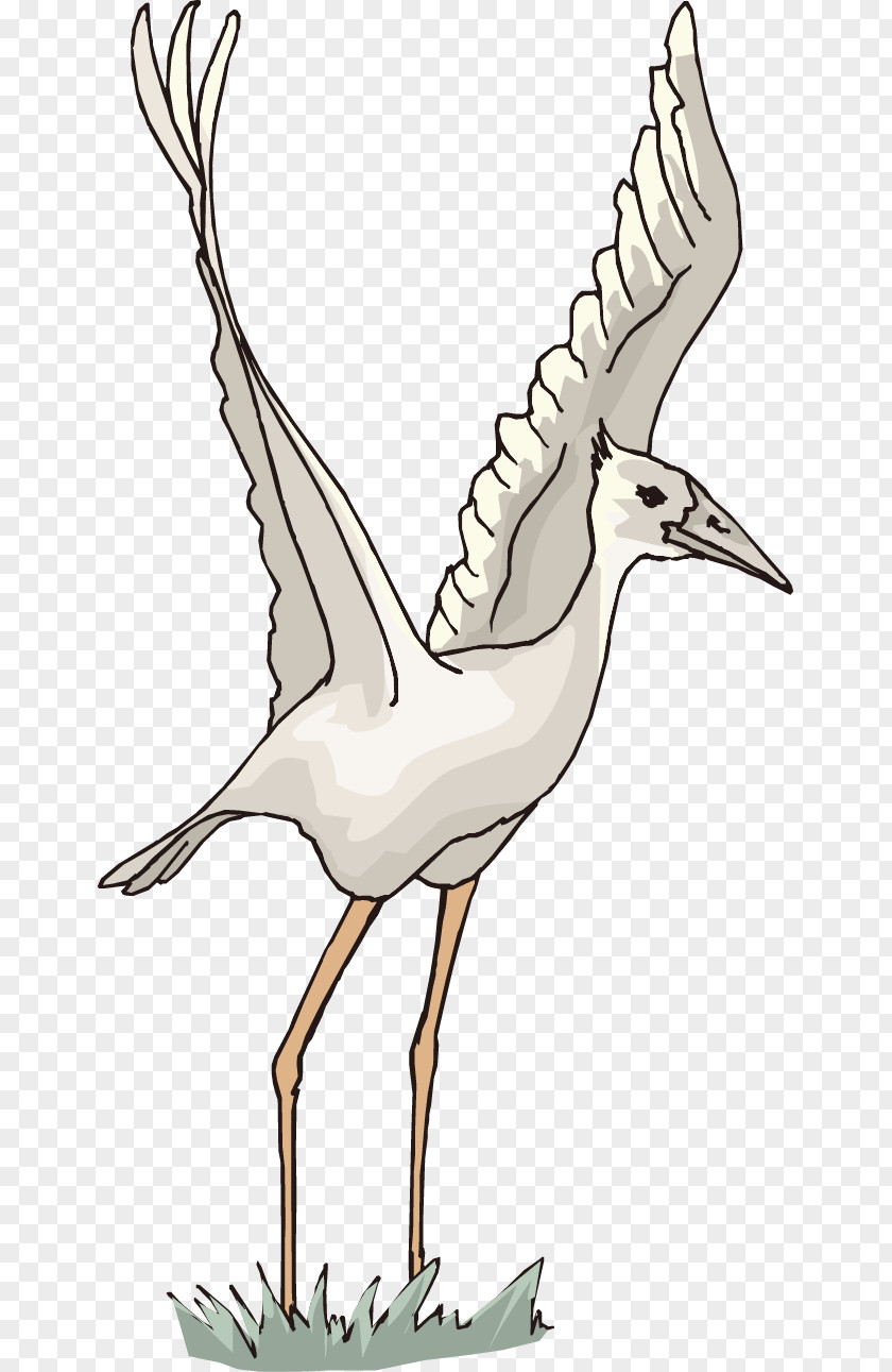 White Cartoon Red-crowned Crane Vector Graphics Stork PNG