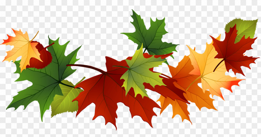 Autumn Clip Art Image Leaf Color PNG