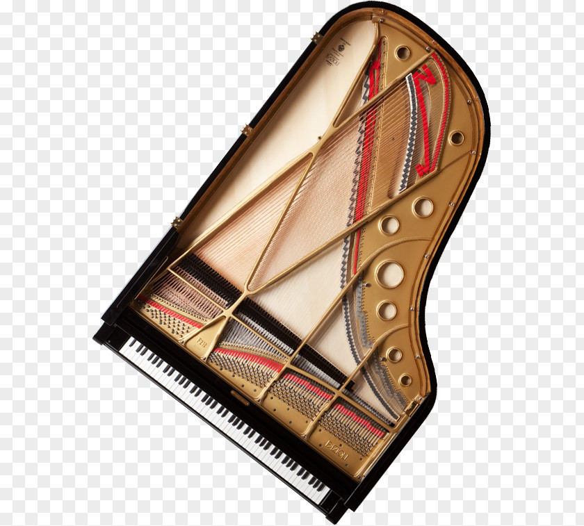 Kawai Musical Instruments Portland Piano Company Fazioli Grand PNG