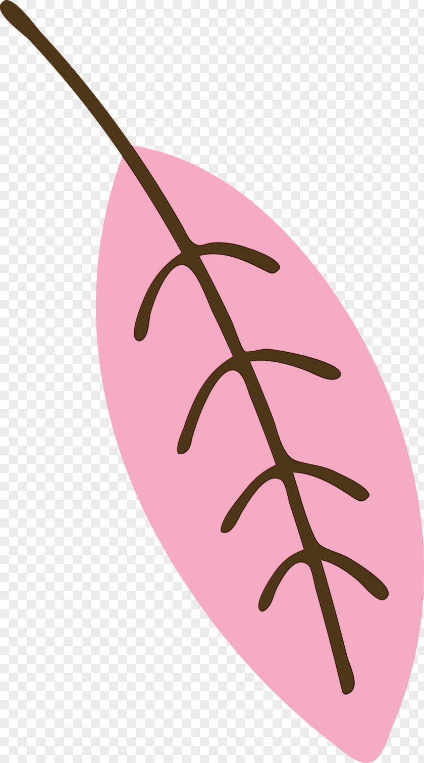 Leaf Pink M Font Line Biology PNG