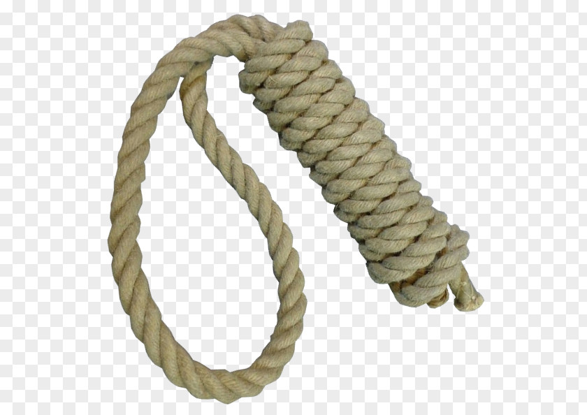 Rope Noose Hanging Hangman's Knot PNG
