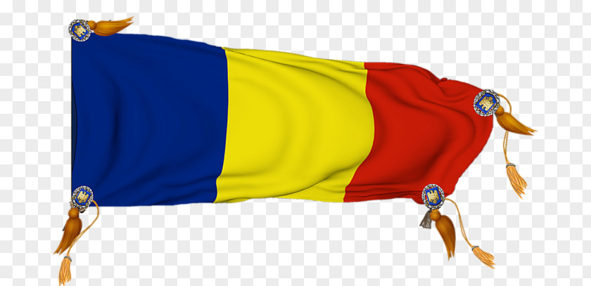 Tricolor Tricolour Flag Of Romania Information PNG