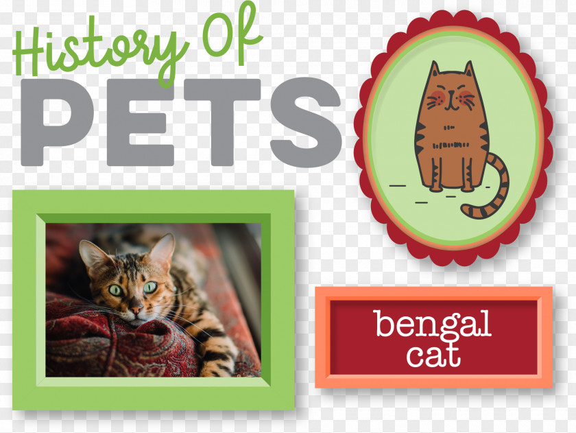 Bengal Graphic Cat Australian Cattle Dog Siamese Ragdoll Border Collie PNG