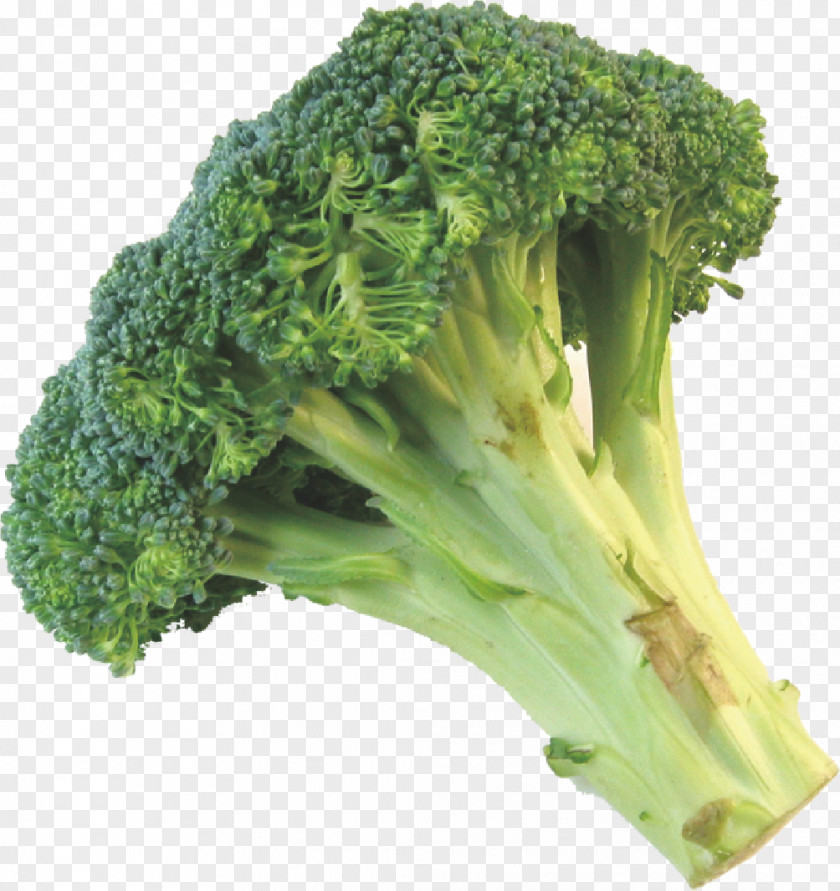 Broccoli Cauliflower Leftovers Vegetable PNG
