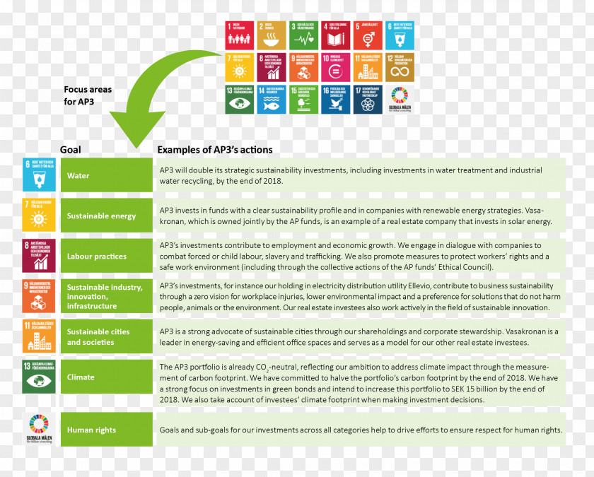 Business Sustainable Development Goals Sustainability United Nations PNG
