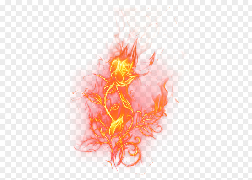 Flame Fire Rose Clip Art PNG