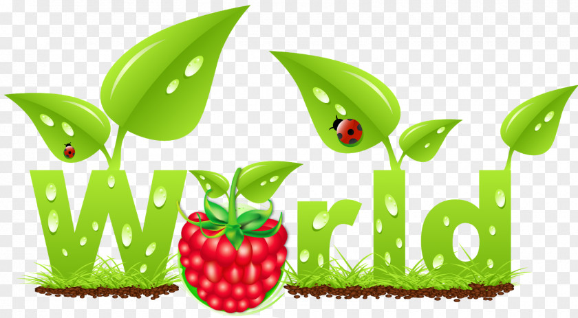 Green Mubarak Vector Superfood Clip Art Illustration Diet Food PNG