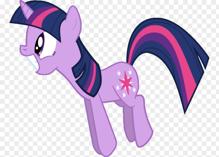 My Little Pony Twilight Sparkle Pinkie Pie The Saga Applejack PNG