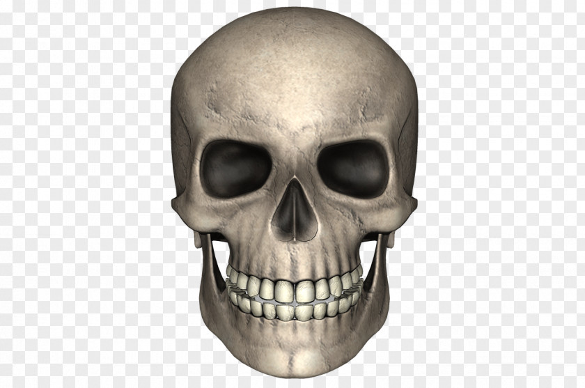 Scars Skull Bone PNG