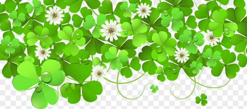 Vector Clover Wall PNG
