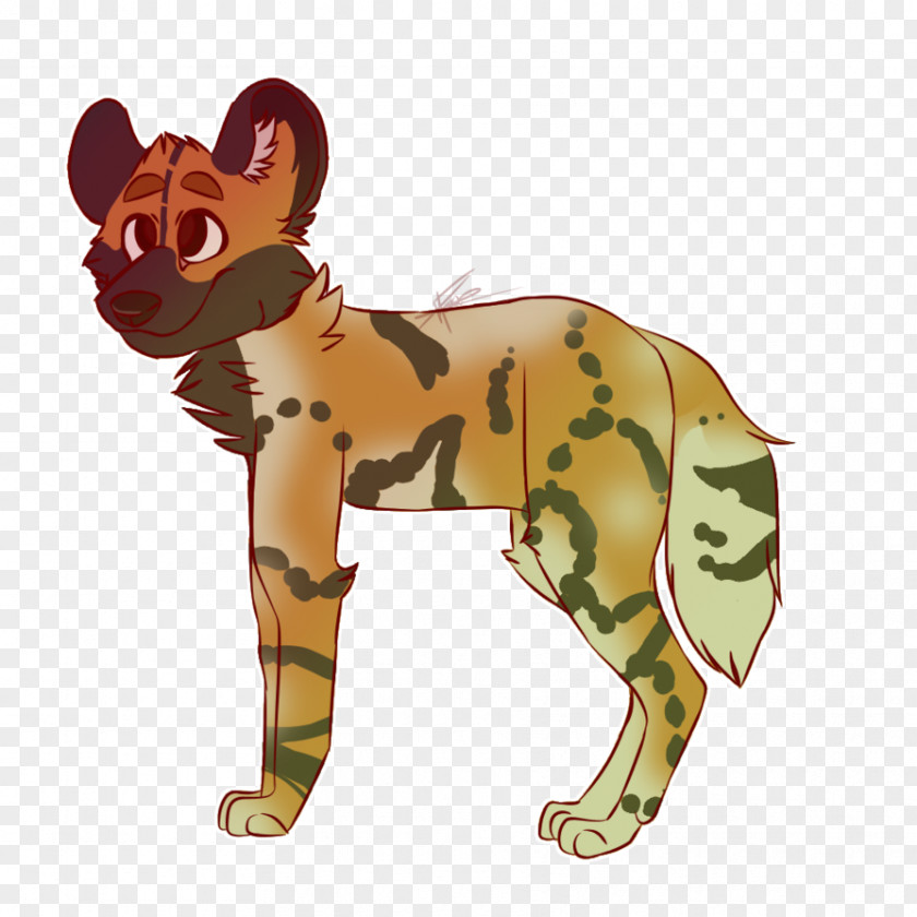 Wild Dog Cat Terrestrial Animal Mammal PNG