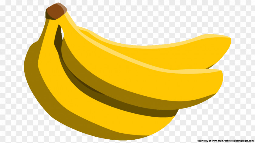 Banana Illustration Cavendish Pisang Goreng Auglis Clip Art PNG