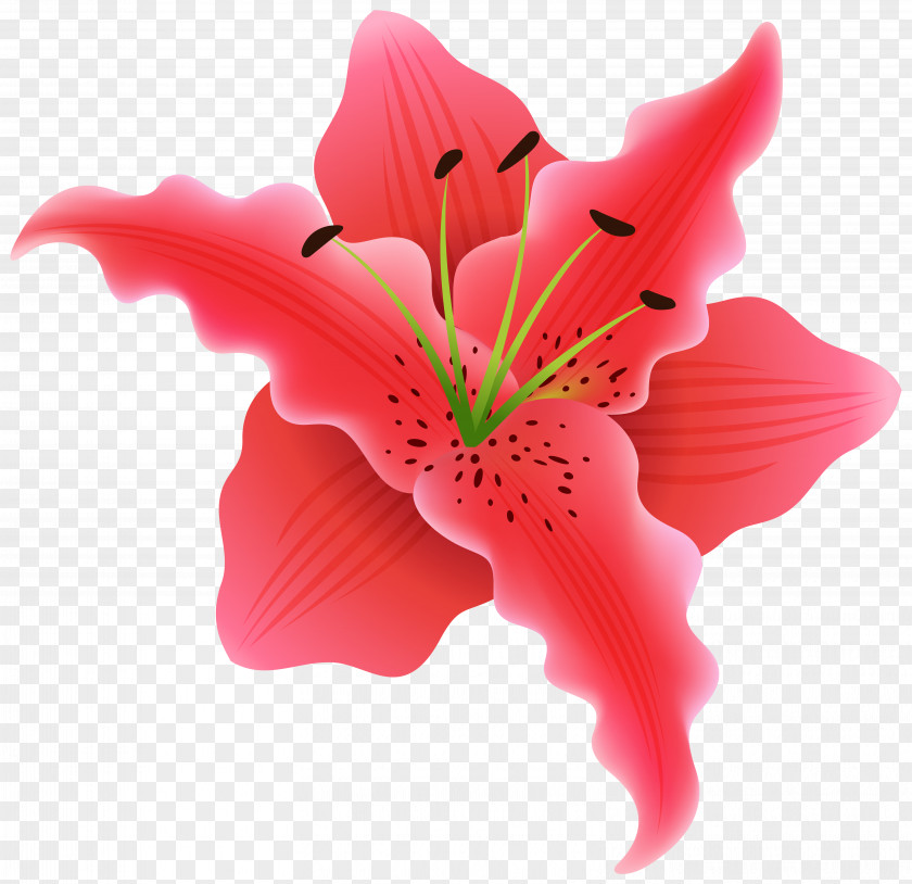 Beautiful Exotic Flower Clipart Image Clip Art PNG