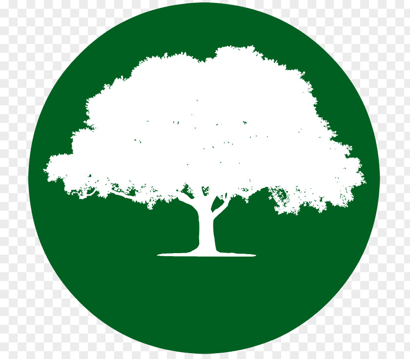 Charity Firm Business Complejo El Ombu Management Villa Amancay Tree PNG