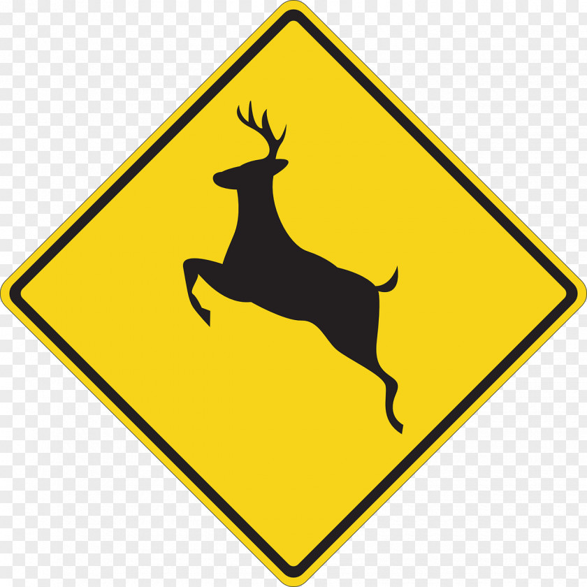 Deer White-tailed Warning Sign Traffic Clip Art PNG