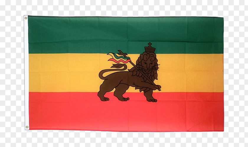 Flag Of Ethiopia Lion Fahne PNG