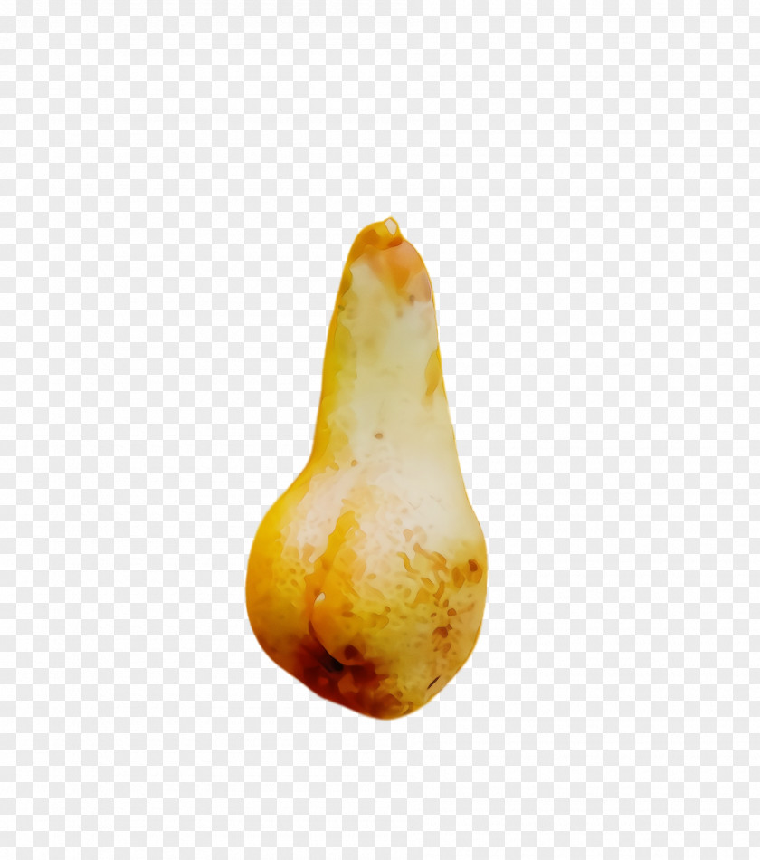 Food Plant Nose Pear PNG