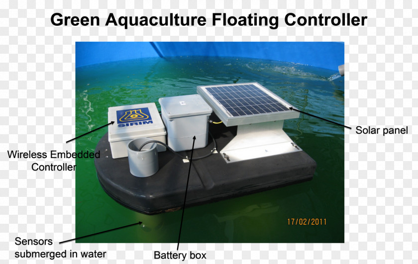Giant Freshwater Prawn Farming Technology Aquaculture PNG