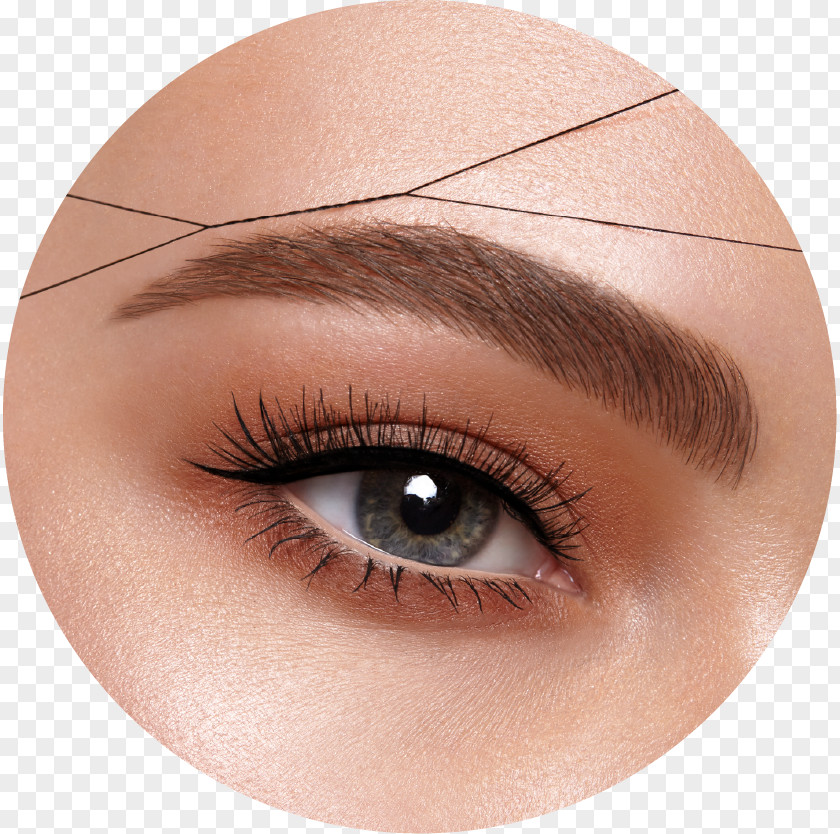 Hair Eyelash Extensions Eyebrow Beauty Parlour Threading PNG