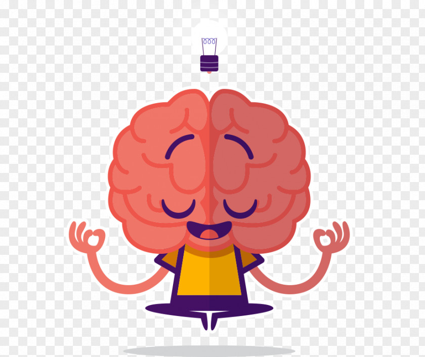 Human Brain Mind Midbrain PNG