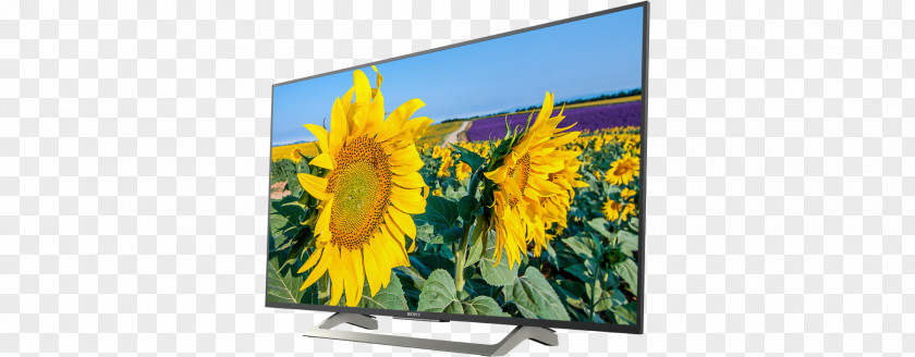 Led Tv Image Smart TV Sony Ultra HD 4K WIFI HDR Black Bravia LED-backlit LCD Resolution PNG