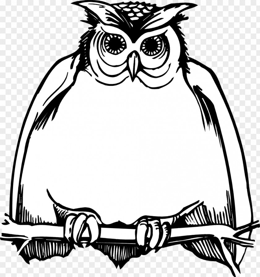 Owl Great Horned Drawing Hogwarts Clip Art PNG