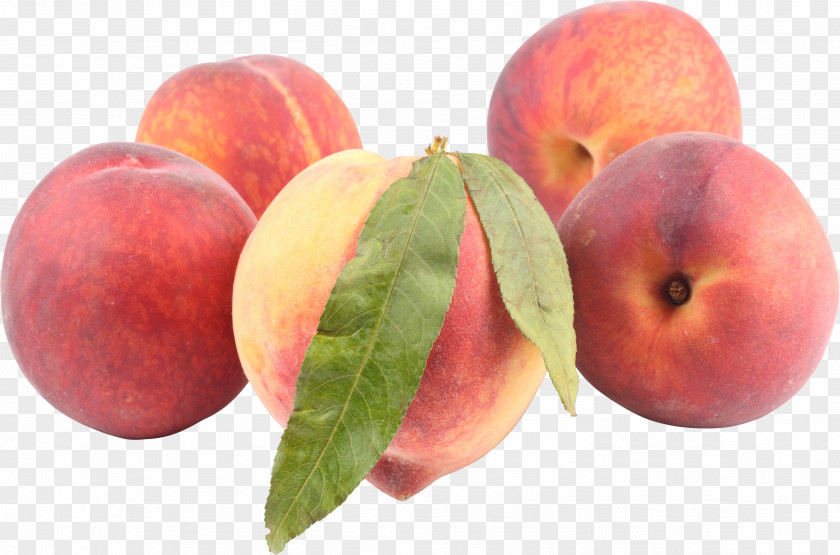 Peach Image Peaches And Cream PNG