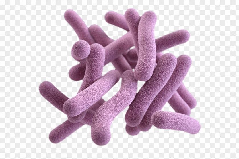 Bactria Poster Mycobacterium Tuberculosis Pathogenic Bacteria PNG