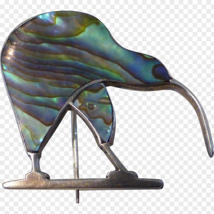 Kiwi Bird Glass Organism PNG