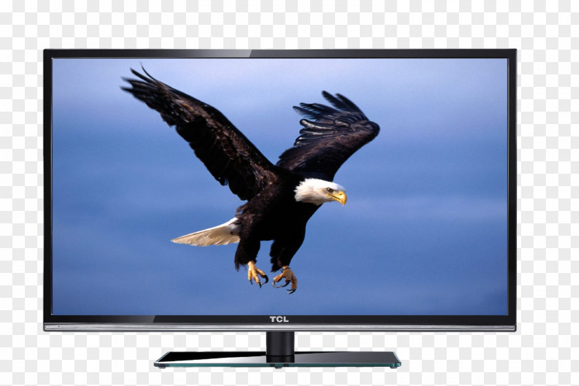 LCD TV Wall Supports Fourth-generation Magic Sound System Bald Eagle Desktop Computer Wallpaper PNG