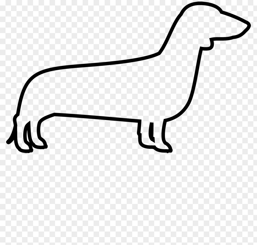 Miniature Dachshund Rough Collie Labrador Retriever Clip Art PNG