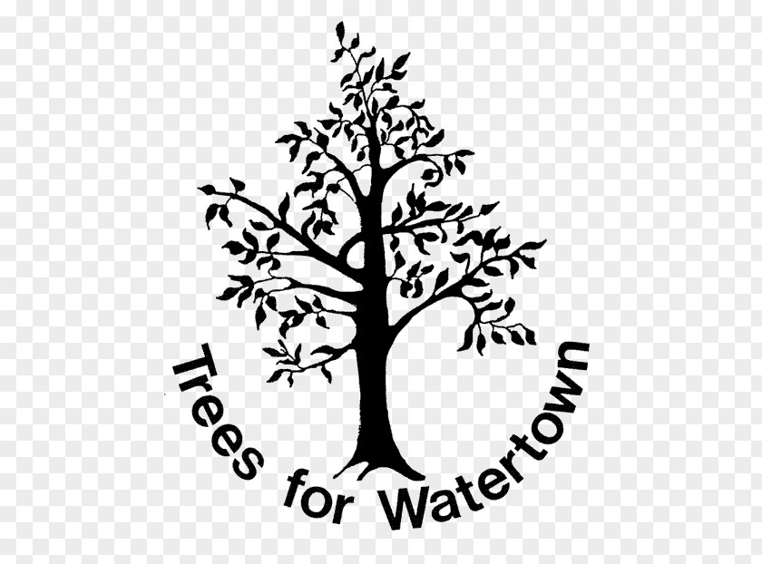 Peace Tree Logo Watertown Metfern Cemetary Organization Somerville PNG
