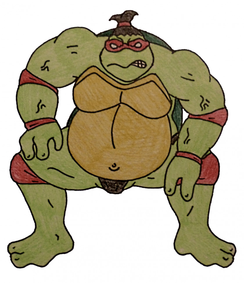 Sumo Raphael Teenage Mutant Ninja Turtles Rikishi PNG