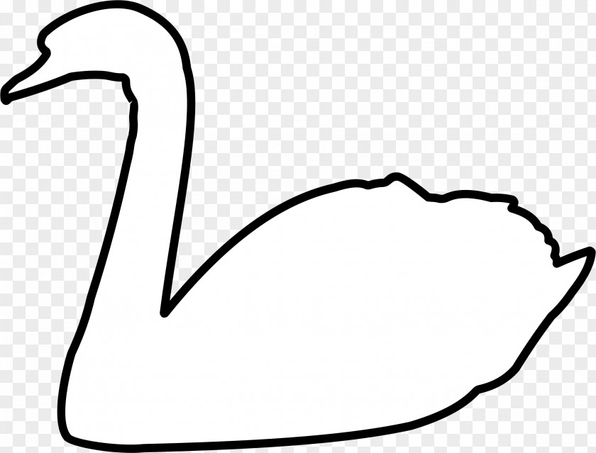 Swan Cygnini Goose Bird Clip Art PNG