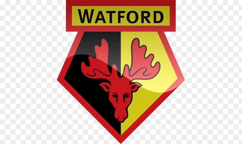 Premier League Watford F.C. FA Cup Southern Football PNG