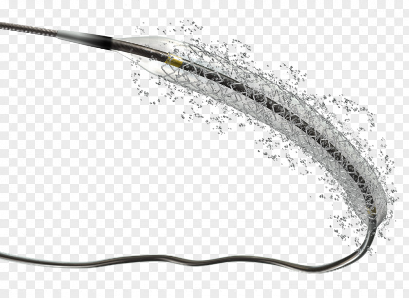 Tortuous Drug-eluting Stent Stenting Coronary Sirolimus Bioresorbable PNG