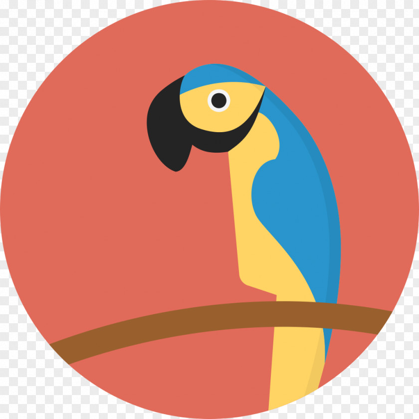Turkey Bird Parrot PNG