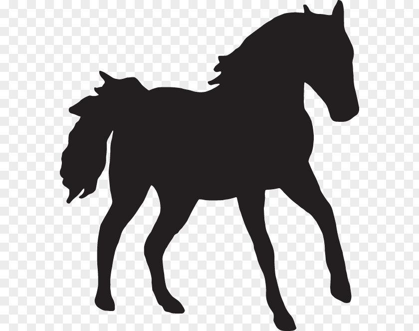 Cowboy And Horse Silhouette Arabian Stallion Mare Clydesdale PNG