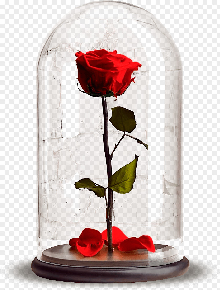 Flower Garden Roses Laboratory Flasks Hydroponics Бутон PNG