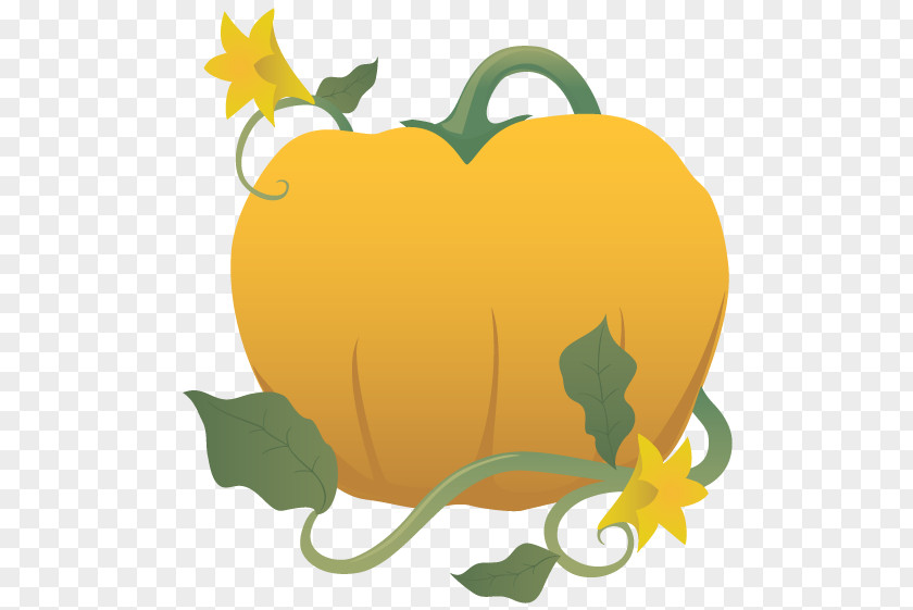 Sand Pumpkin Cliparts Common Grape Vine Cucurbita Clip Art PNG