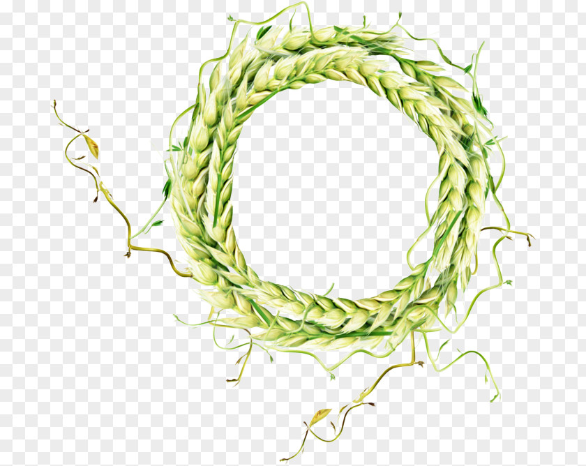 Twig Plant Wheat Cartoon PNG