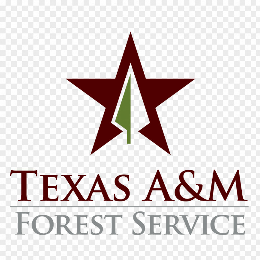 Business Texas A&M University Forest Service United States Urban Forestry PNG